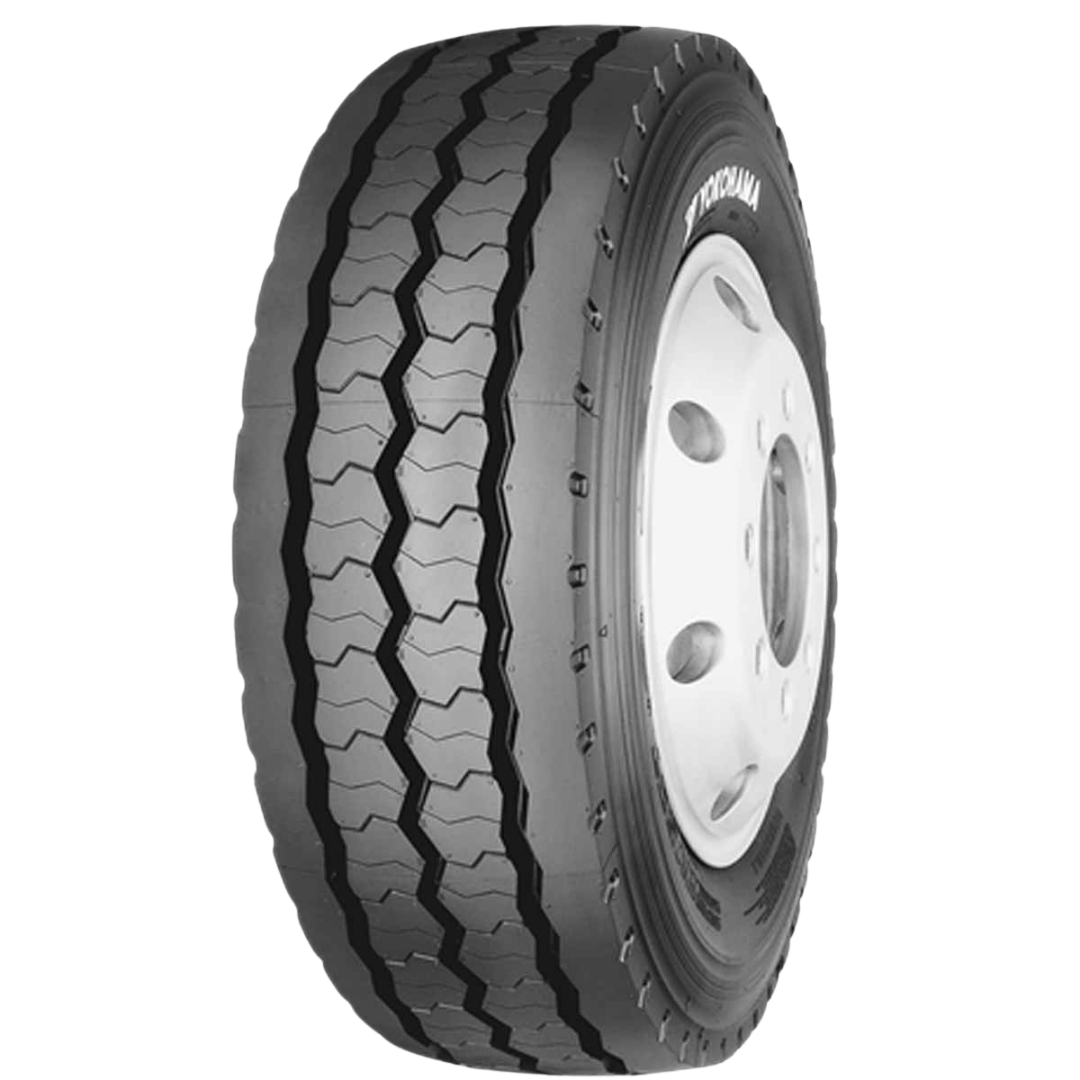 Steer RY537
